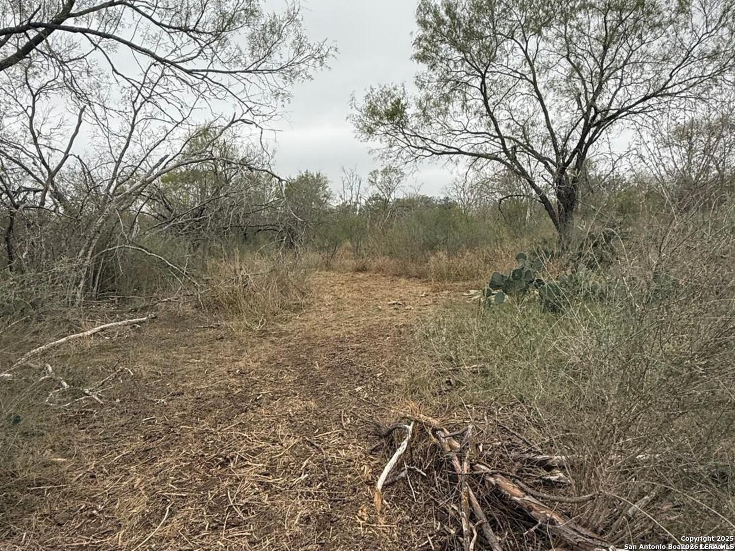 Gidley. Atascosa, TX 78002
