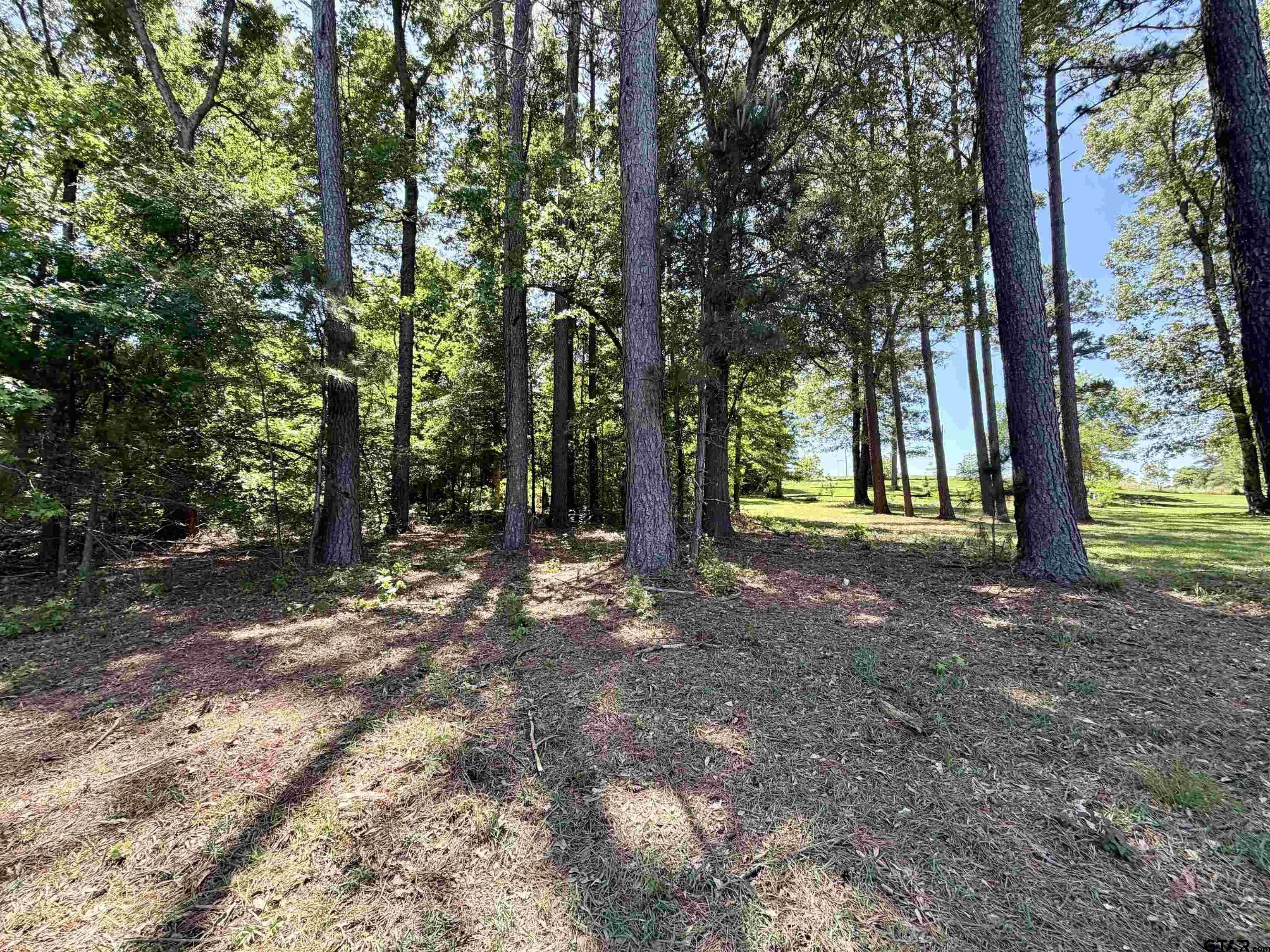 10196 Cr 3202. Chandler, TX 75758