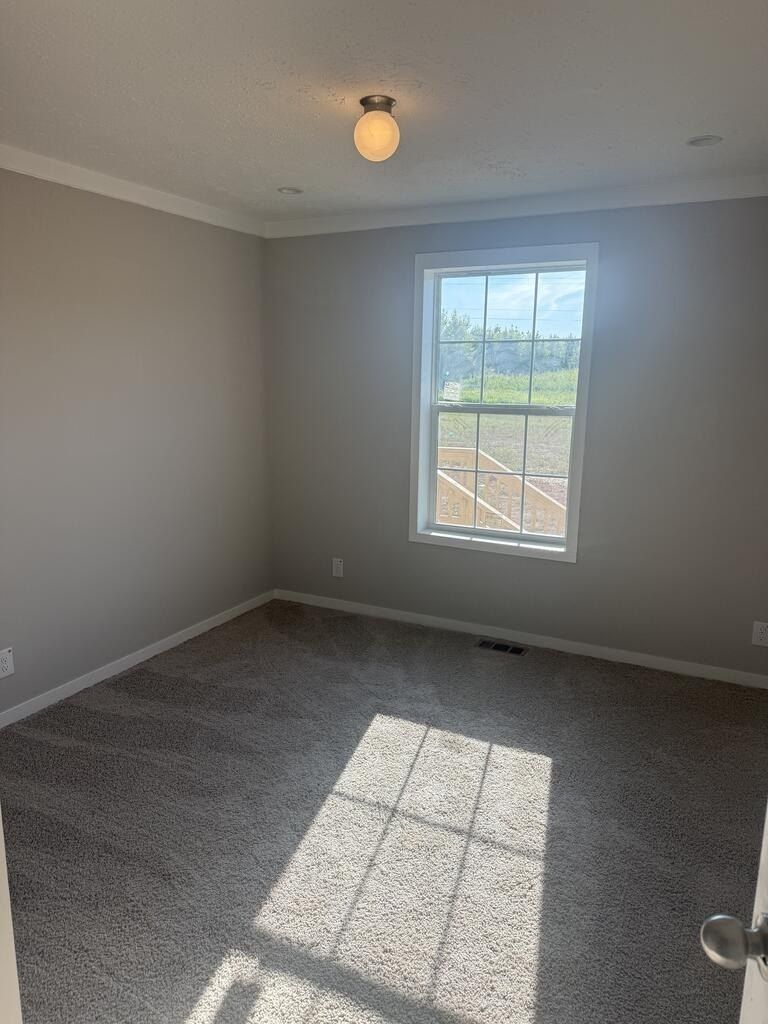 5167 Cluster Springs Rd. Alton, VA 24520