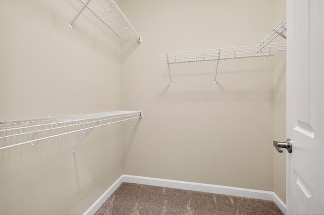 1008 Gadsby Lane. Williamsburg, VA 23185