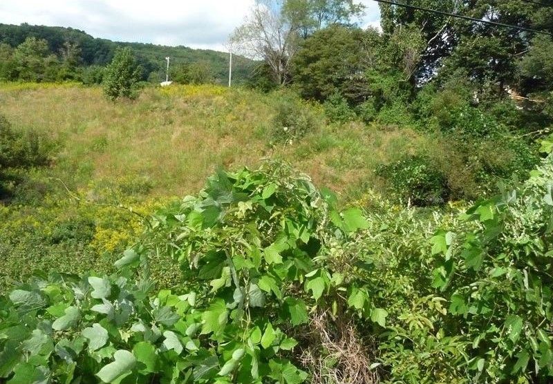 Daniel Boone Road Lot 4. Gate City, VA 24251