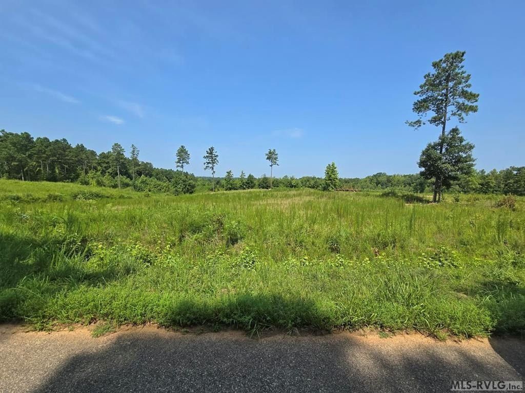 000 Brown Town Rd. Brodnax, VA 23920