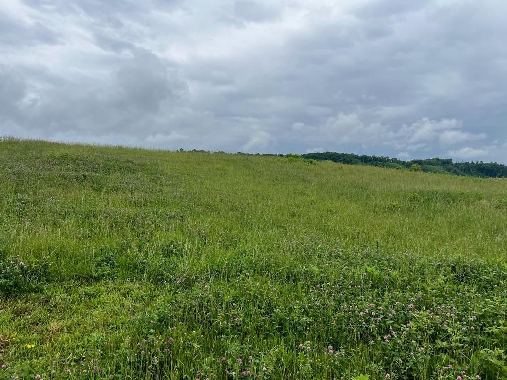 Homestead Way Lot 7. Abingdon, VA 24210