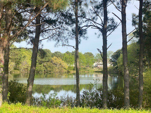 3231 Tower Hill Circle. Cape Charles, VA 23310