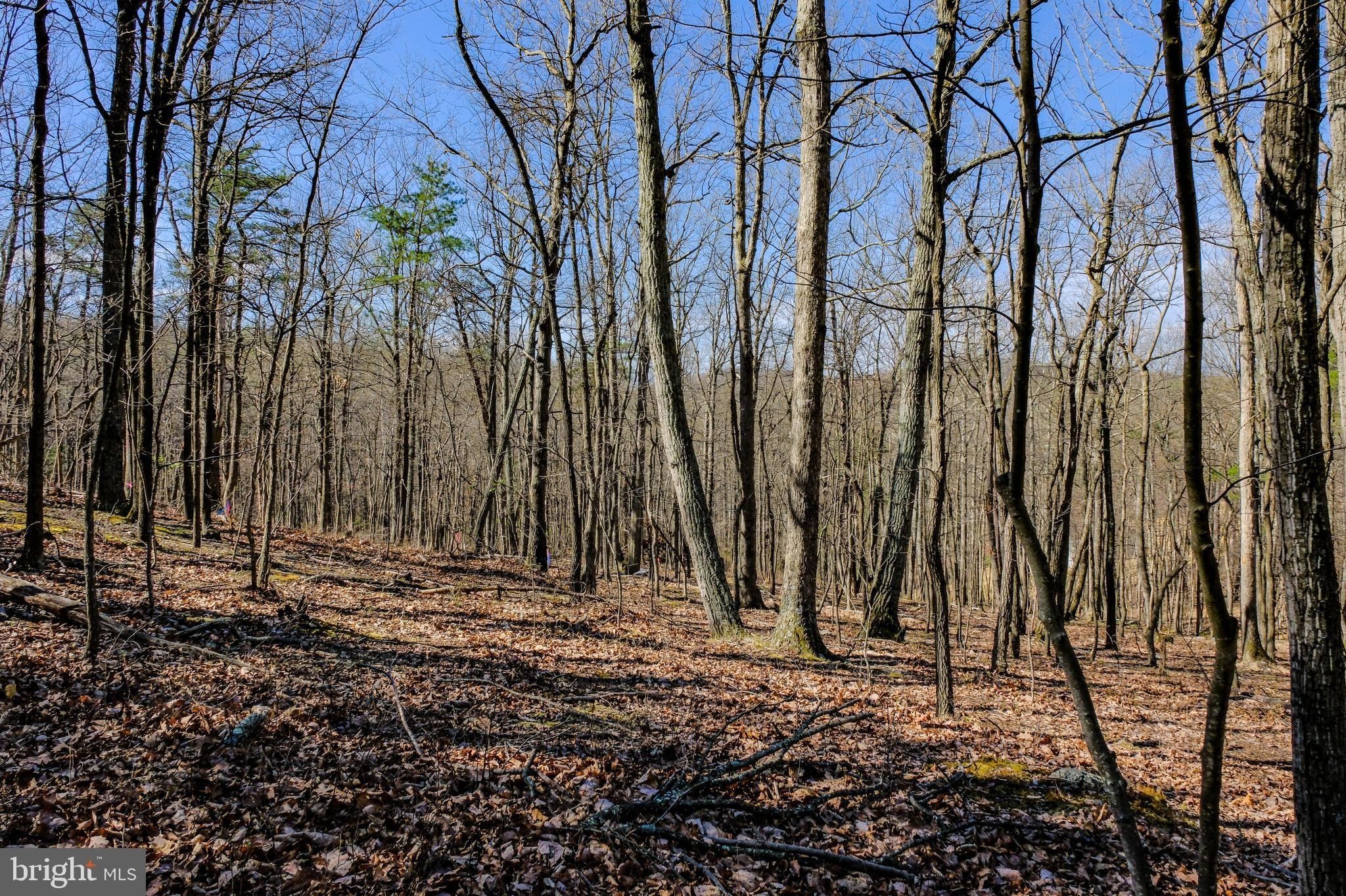 Lot 41 Markham Farm Road. Front Royal, VA 22630