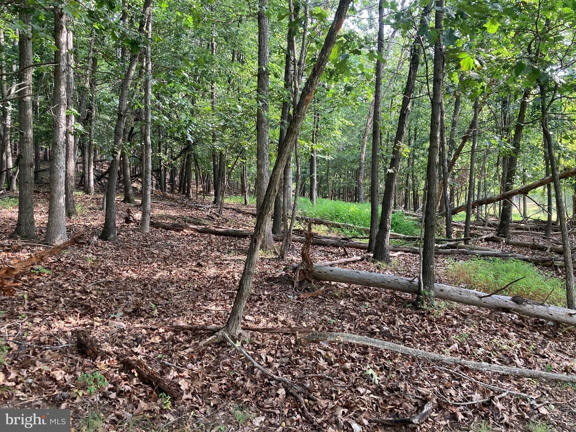 Light Road. Winchester, VA 22603