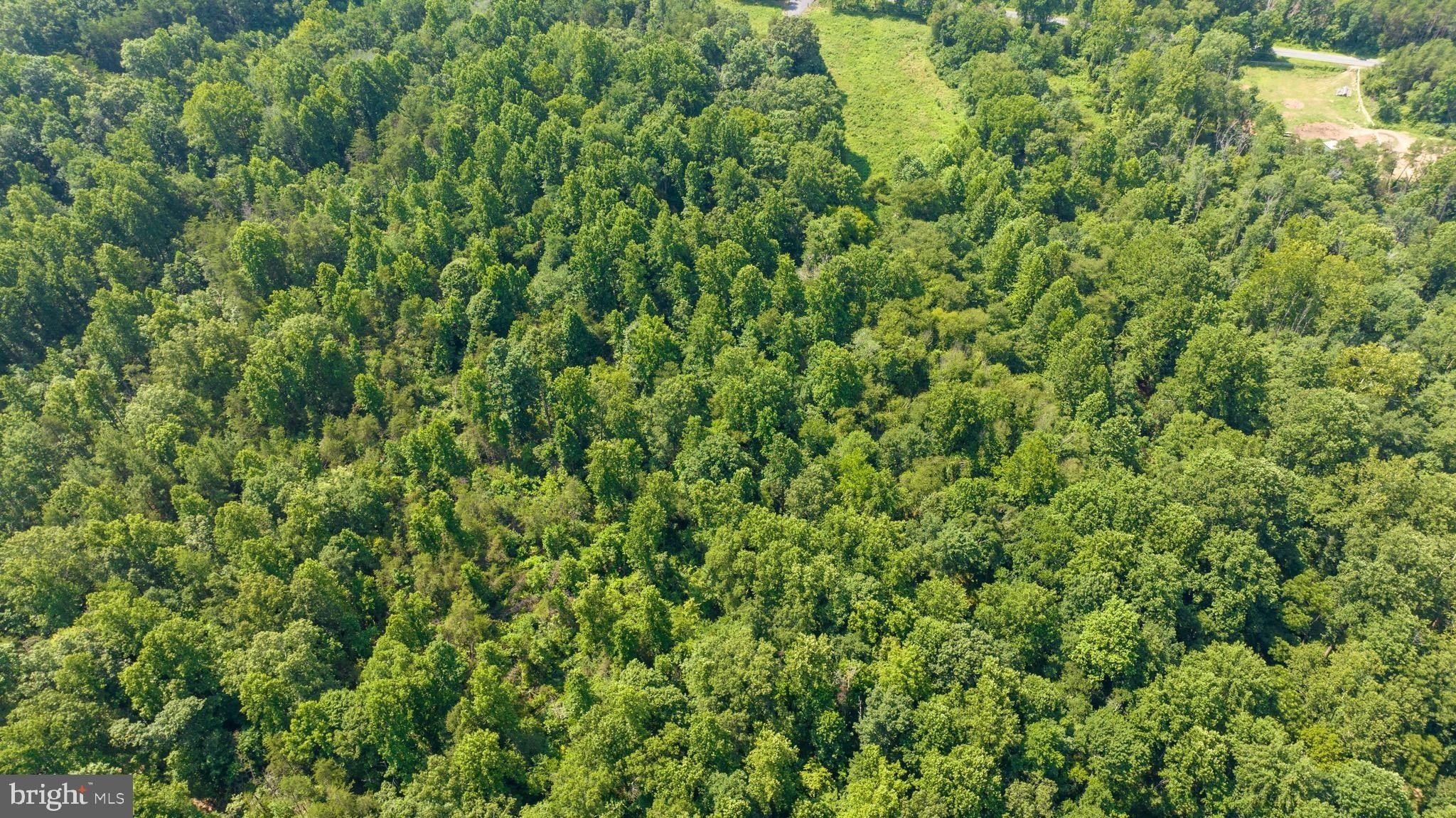 Hunters Ridge Ln. Unionville, VA 22567