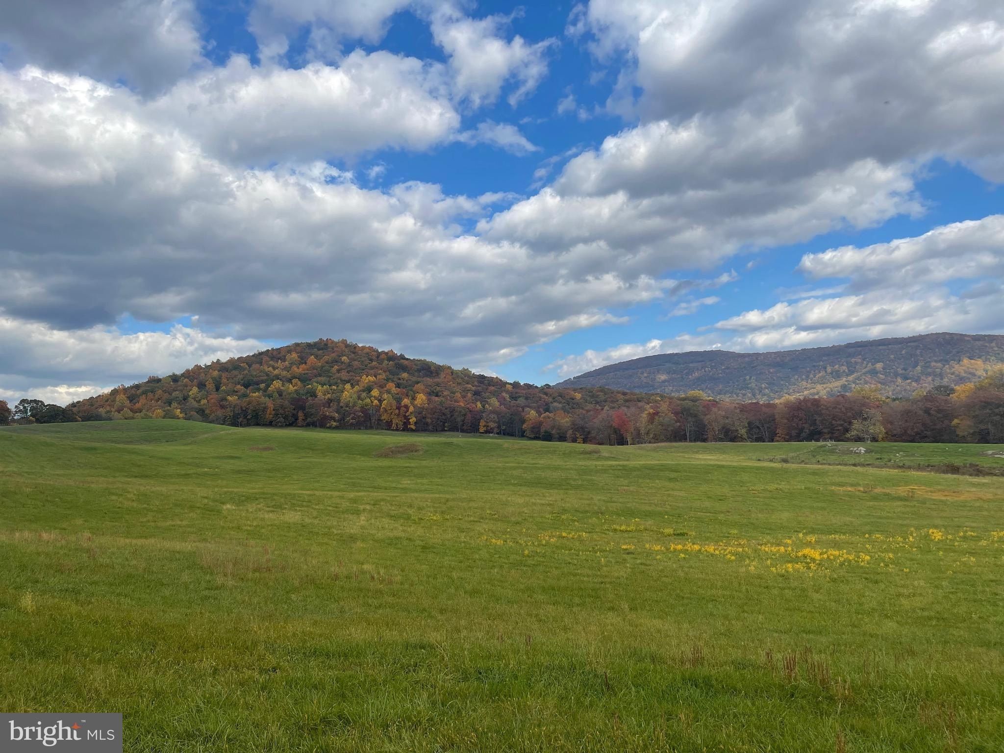 Buck Mountain Road Lot 63C. Bentonville, VA 22610