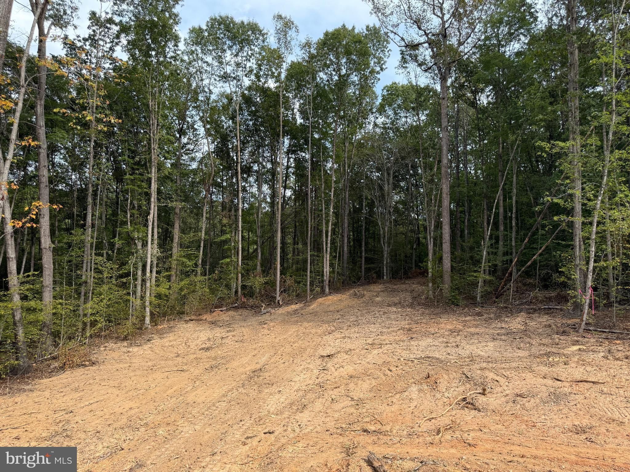 20373 Beaver Creek Court. Lignum, VA 22726