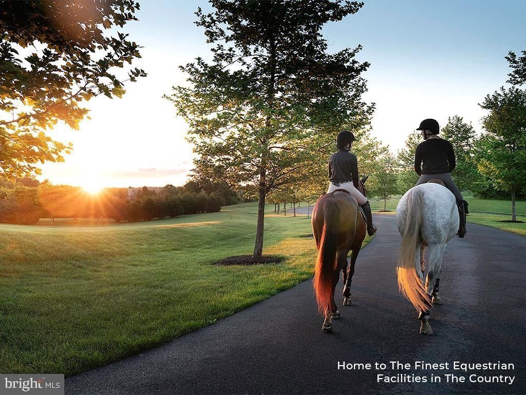 505 Martingale Ridge Drive. Middleburg, VA 20117