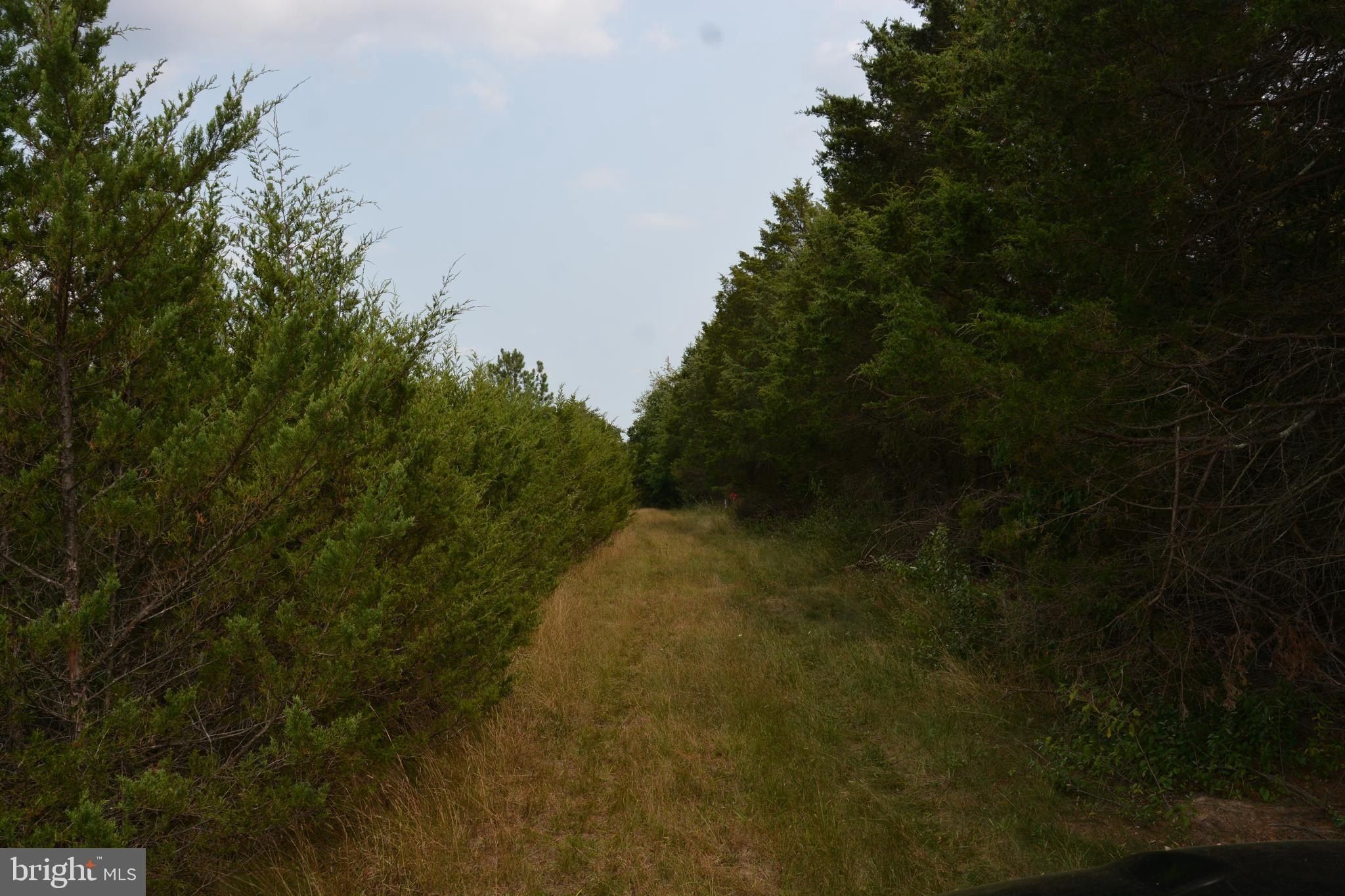 2700 Front Royal Pike. Stephens City, VA 22655