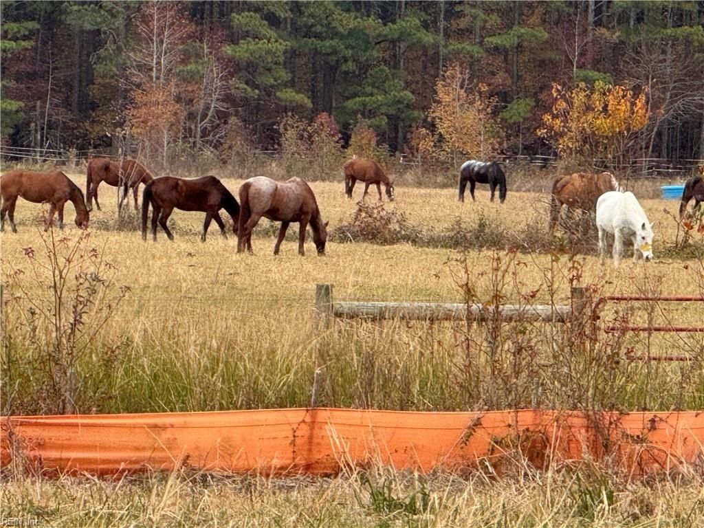 2624 Ballahack Road. Chesapeake, VA 23322