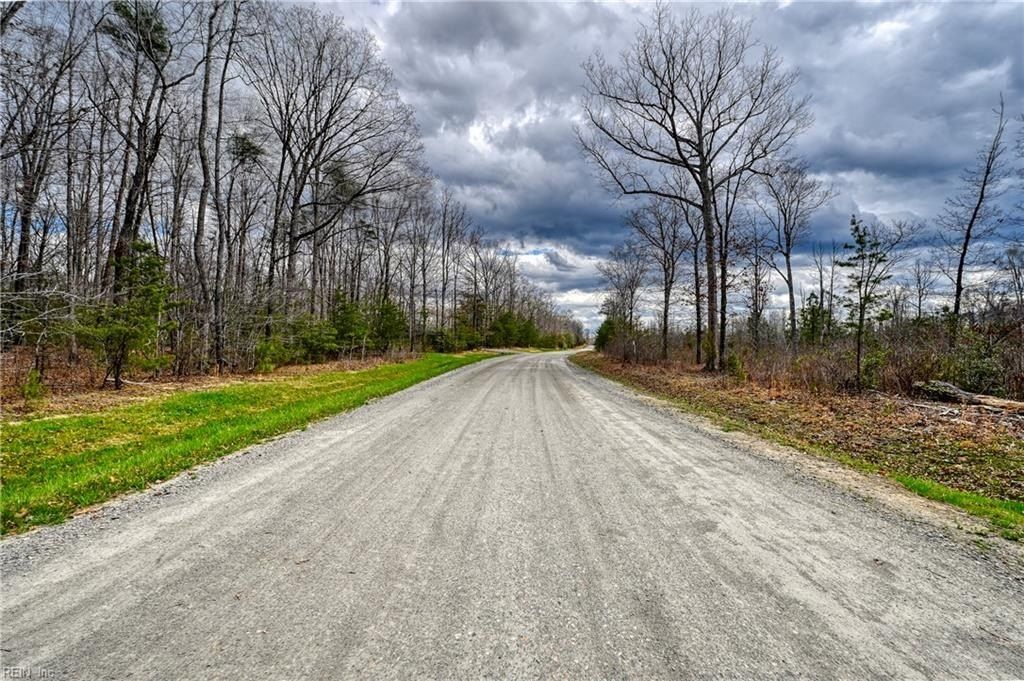 295 Equestrian Landing Trail. Bumpass, VA 23024