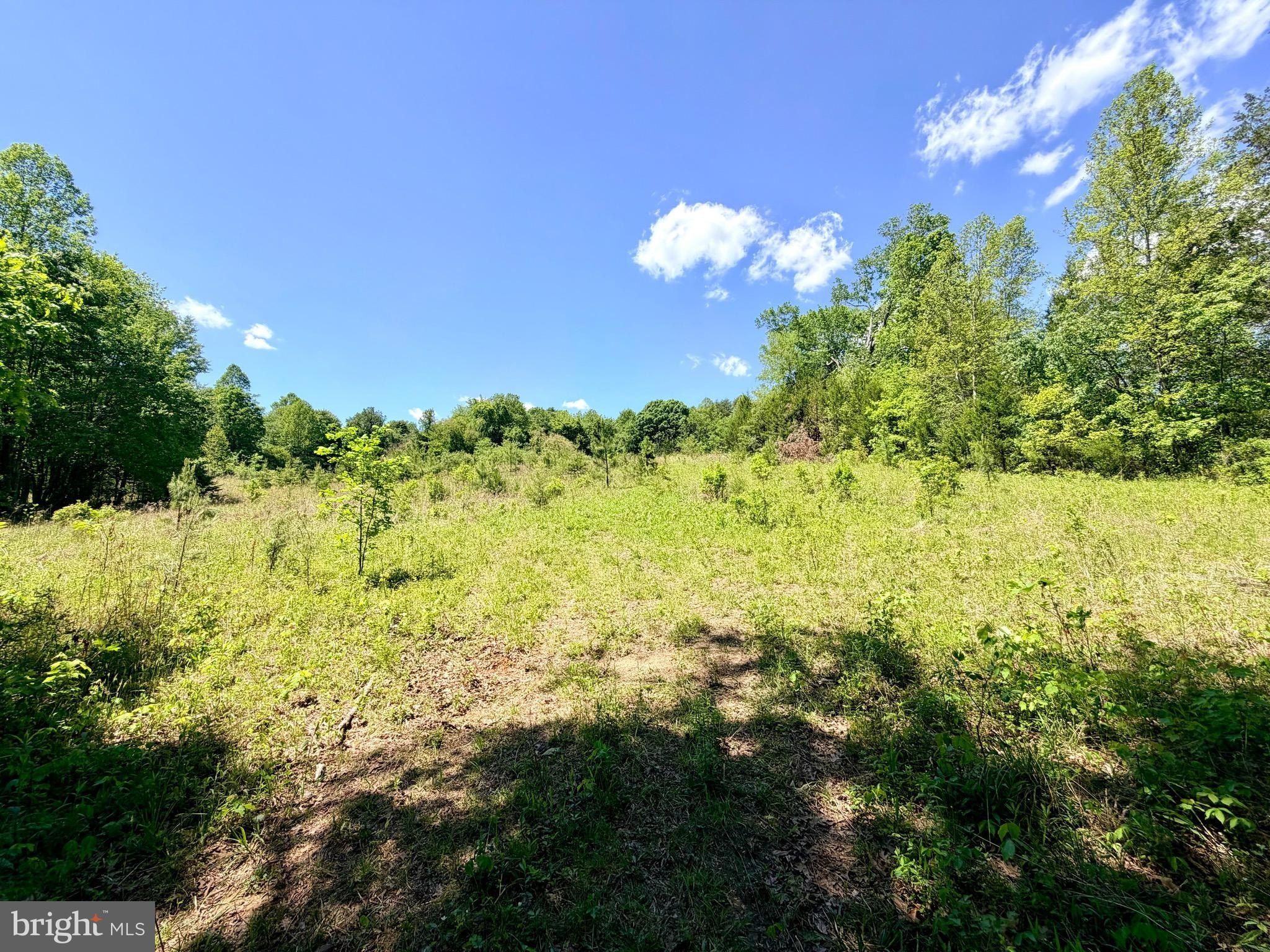 Autumn Ridge Lane Lot 5. Unionville, VA 22567