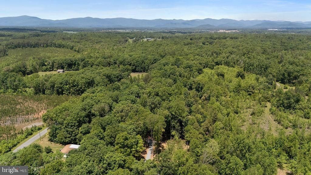 12121 Albano Road. Barboursville, VA 22923