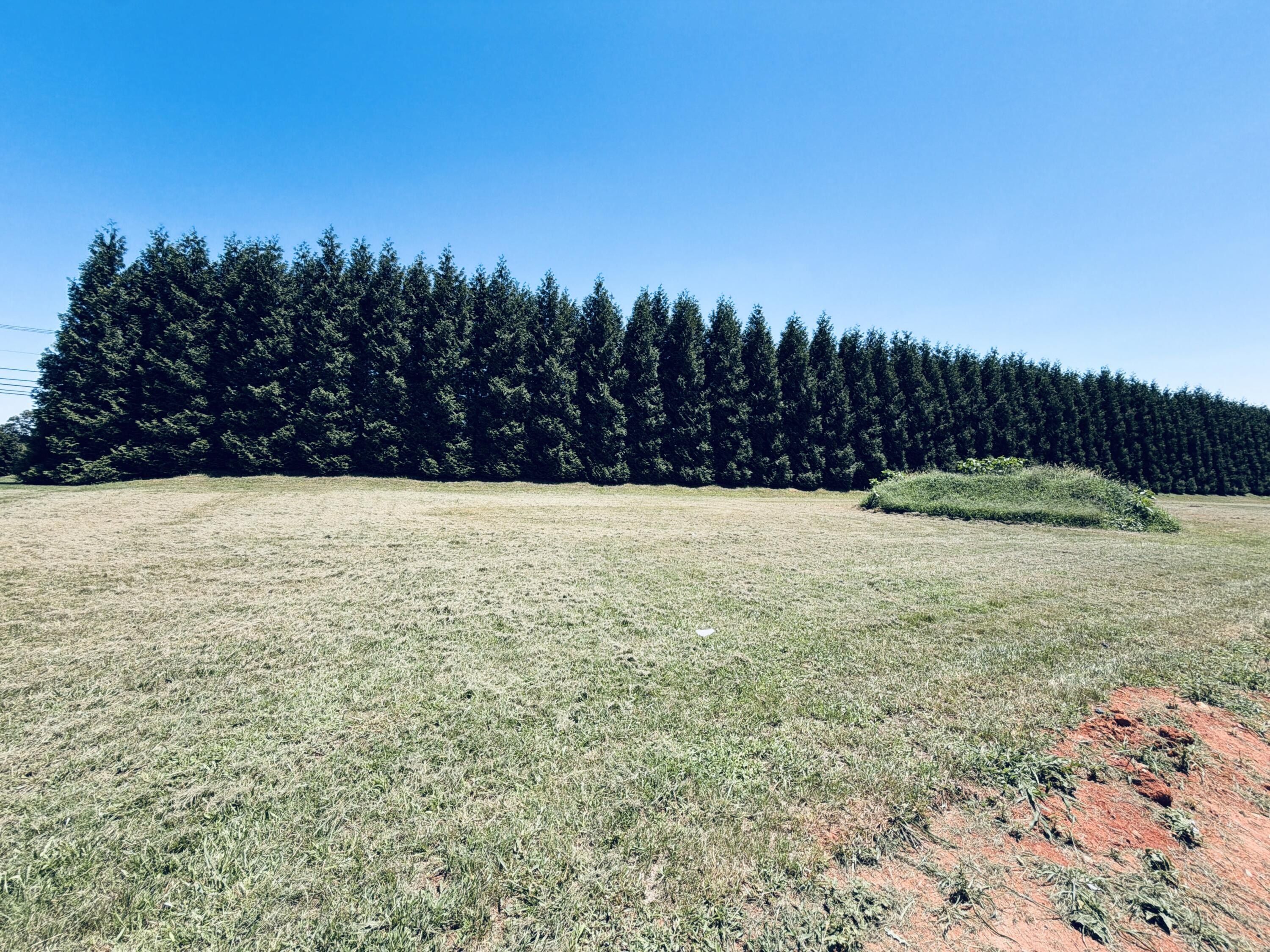 224 Nyle Ridge Rd. Wirtz, VA 24184