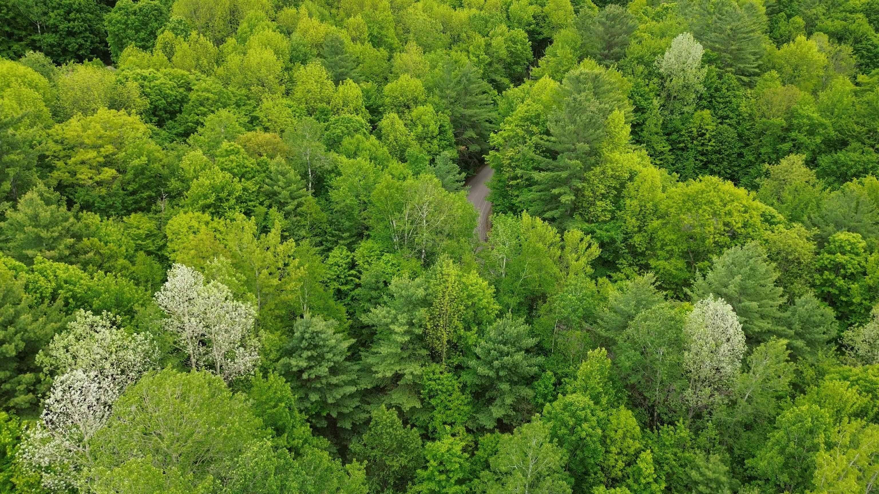 7 Sugar Hill Road. Underhill, VT 05489