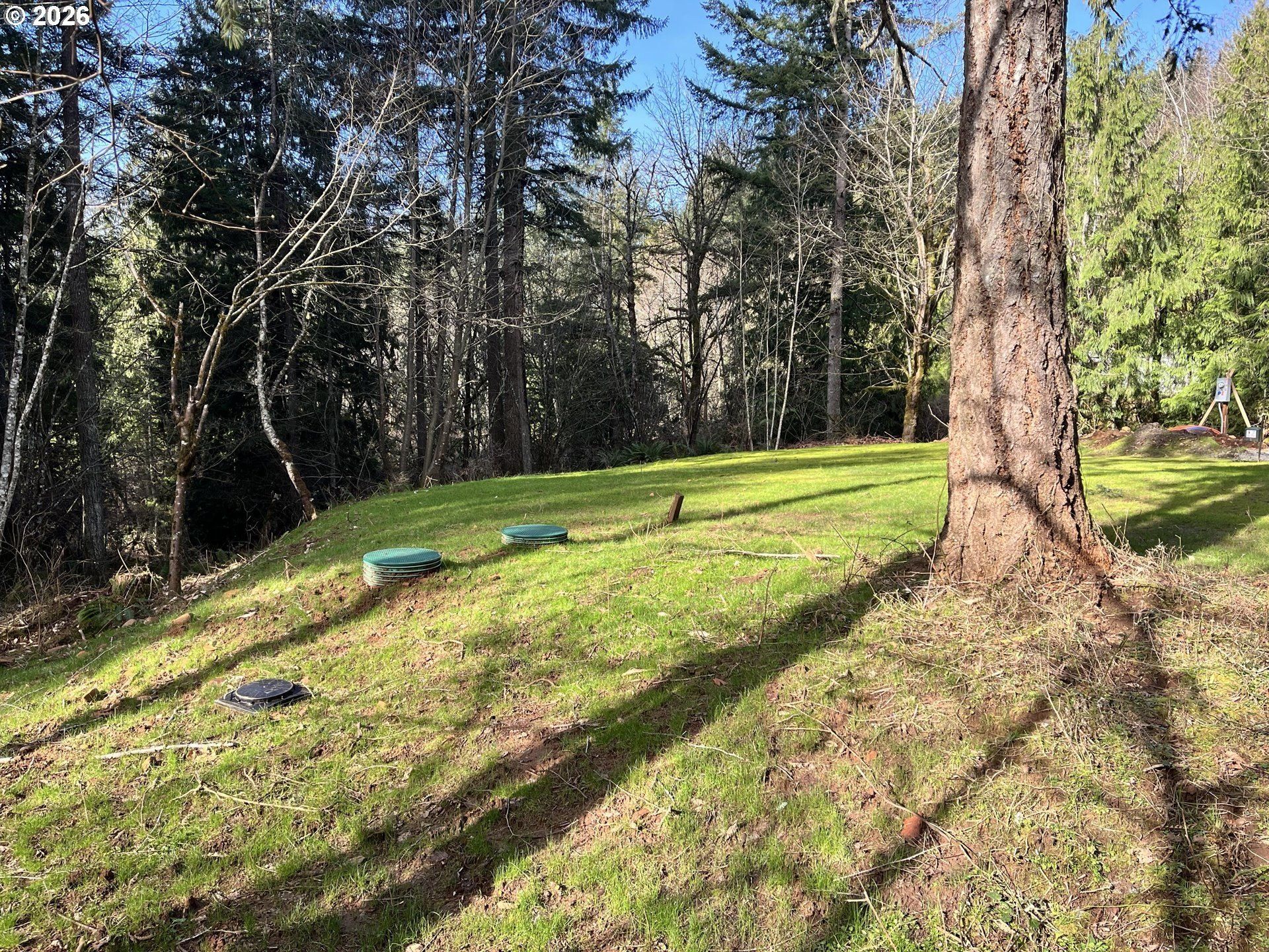 Ne Schauer Dr. Battleground, WA 98604