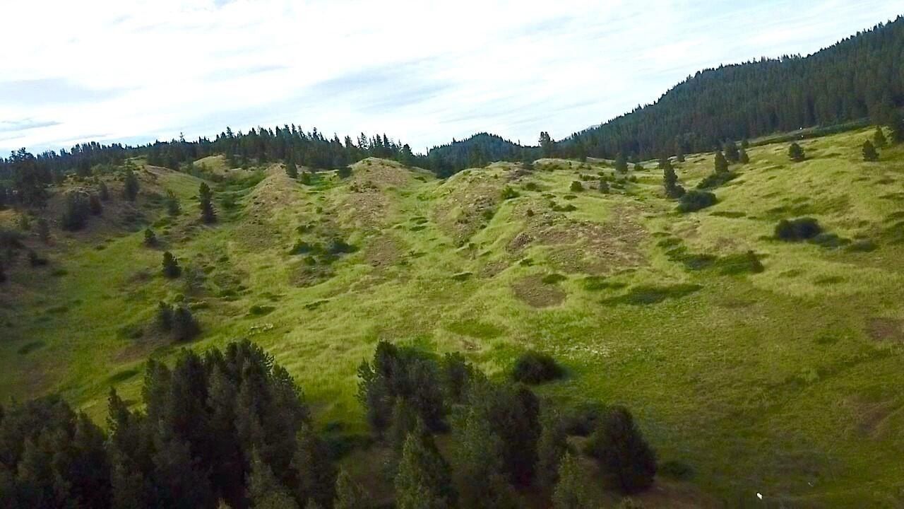 248 Apex Rd. Inchelium, WA 99138