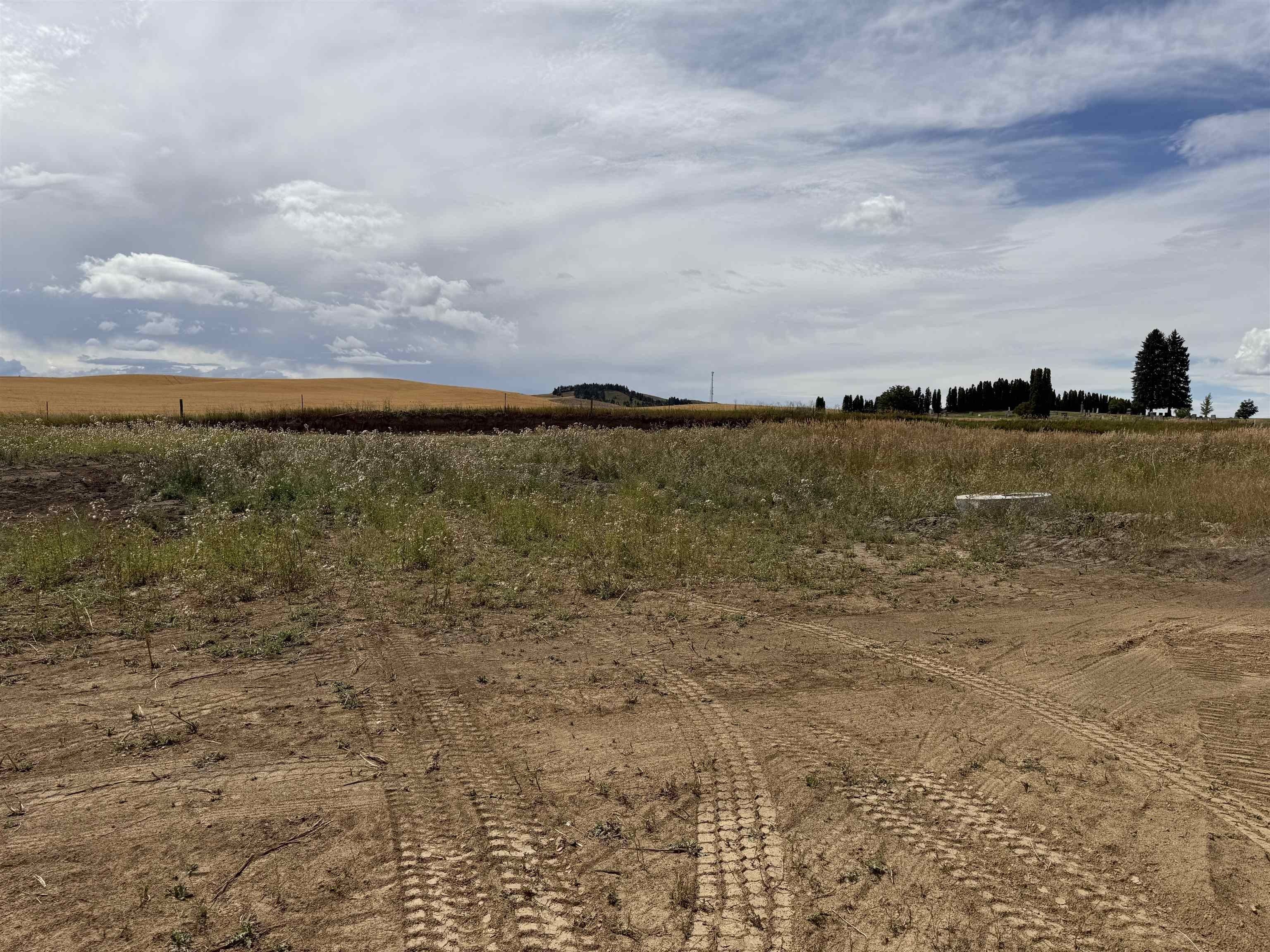 620 E Davisadero St. Reardan, WA 99029