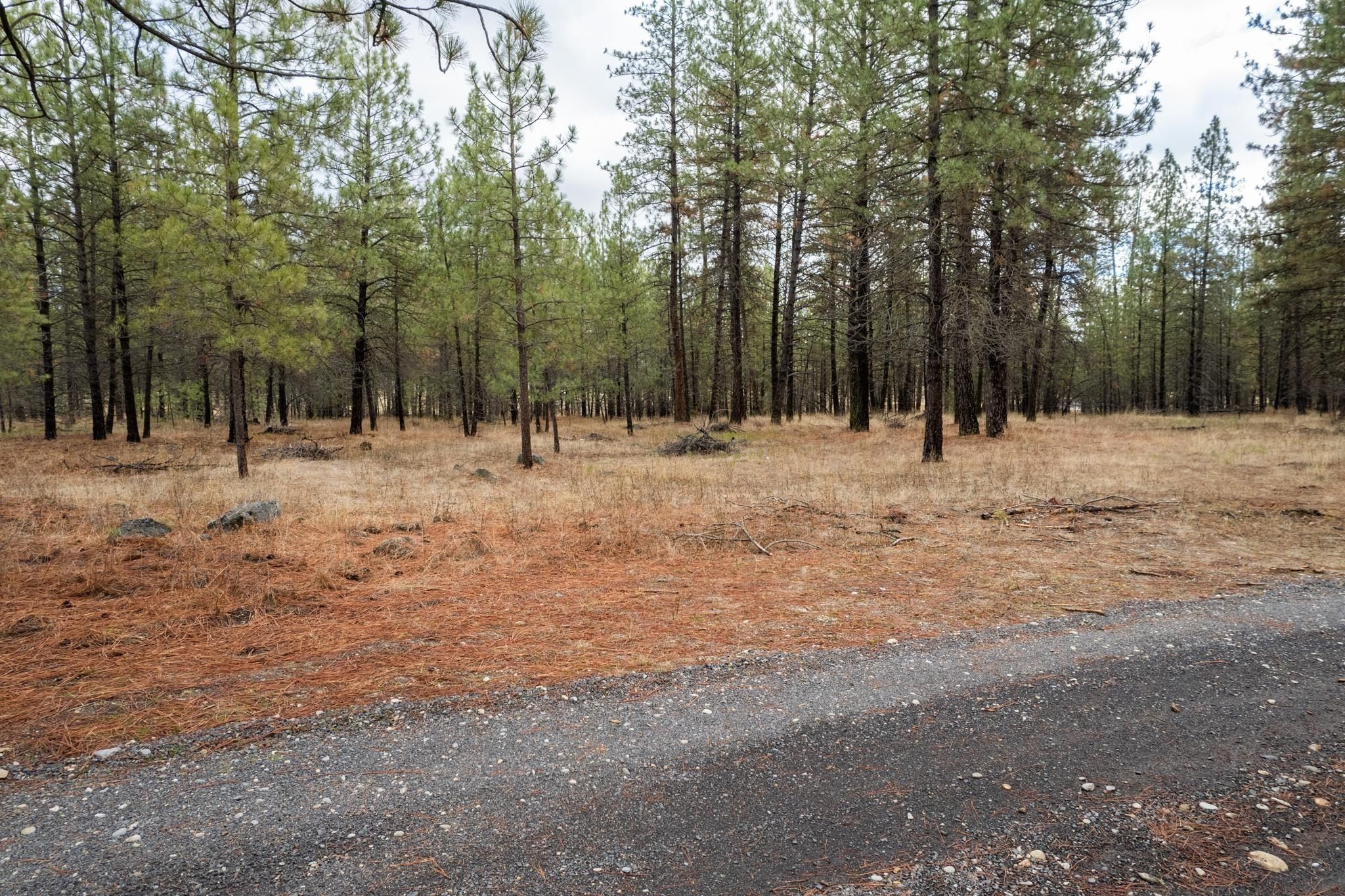 52282 Woods Ln. Ford, WA 99013