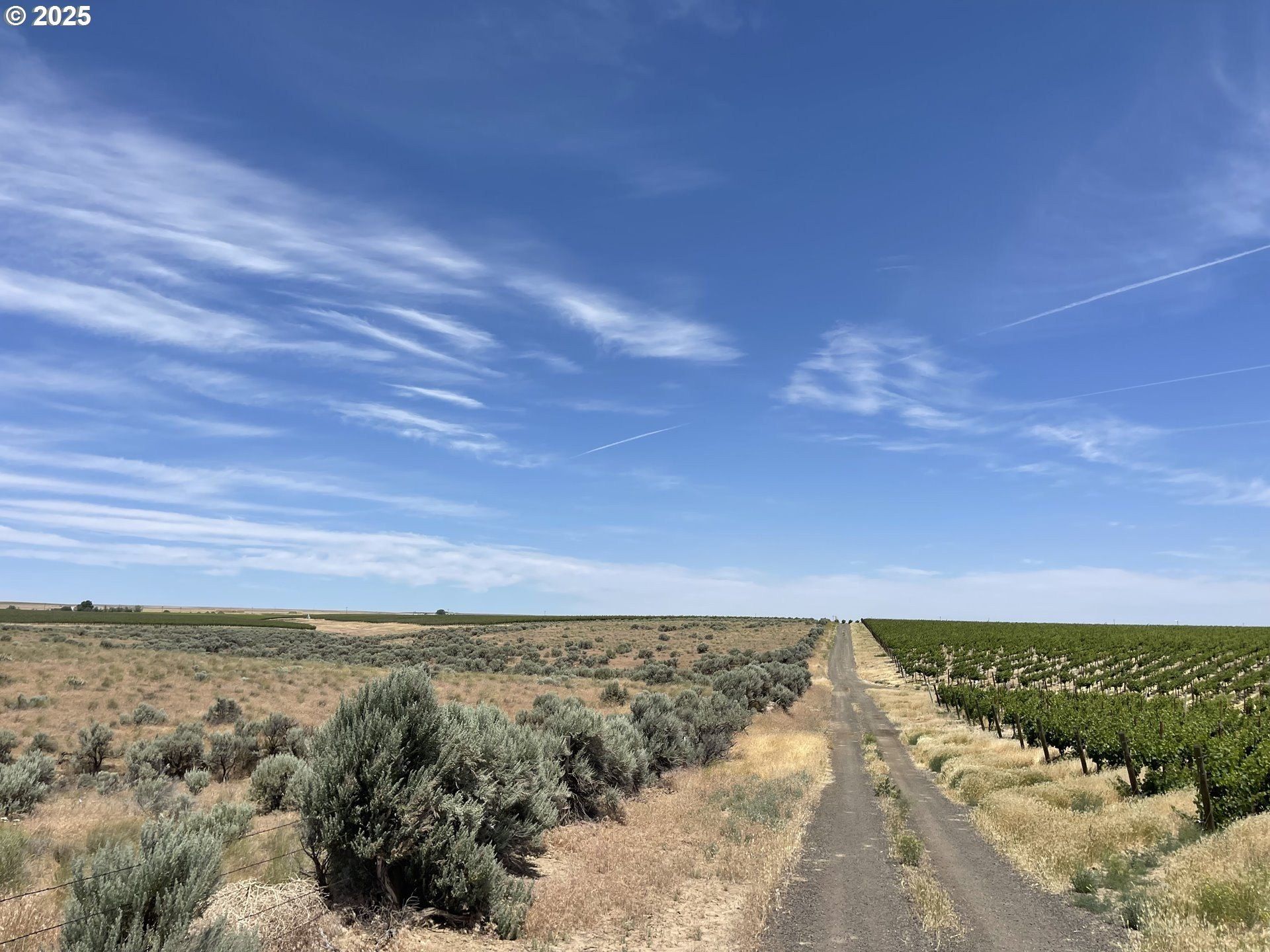 38 Vineyard View Dr. Bickleton, WA 99322