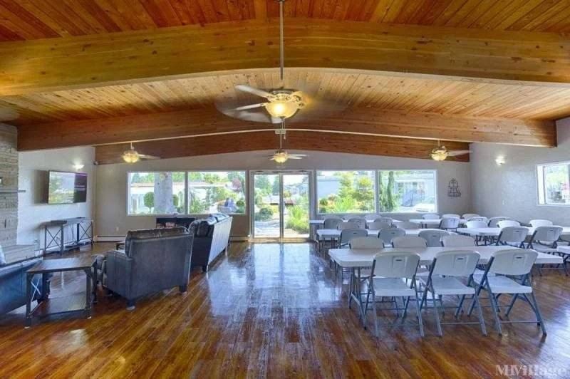 10609 62Nd St E. Puyallup, WA 98372