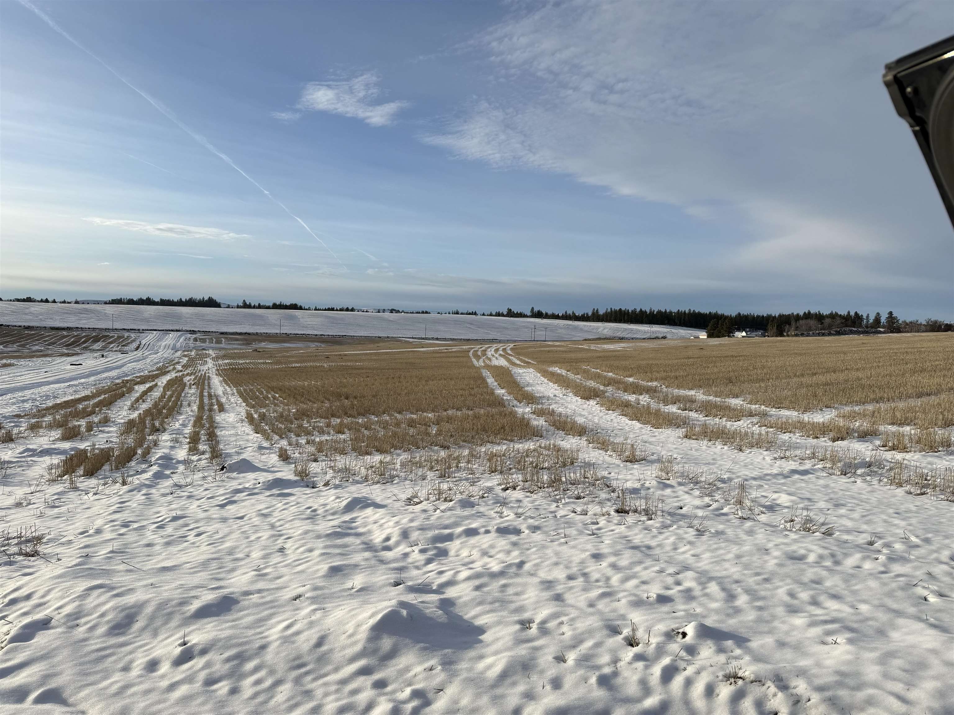 151Xx S Andrus Rd. Cheney, WA 99004