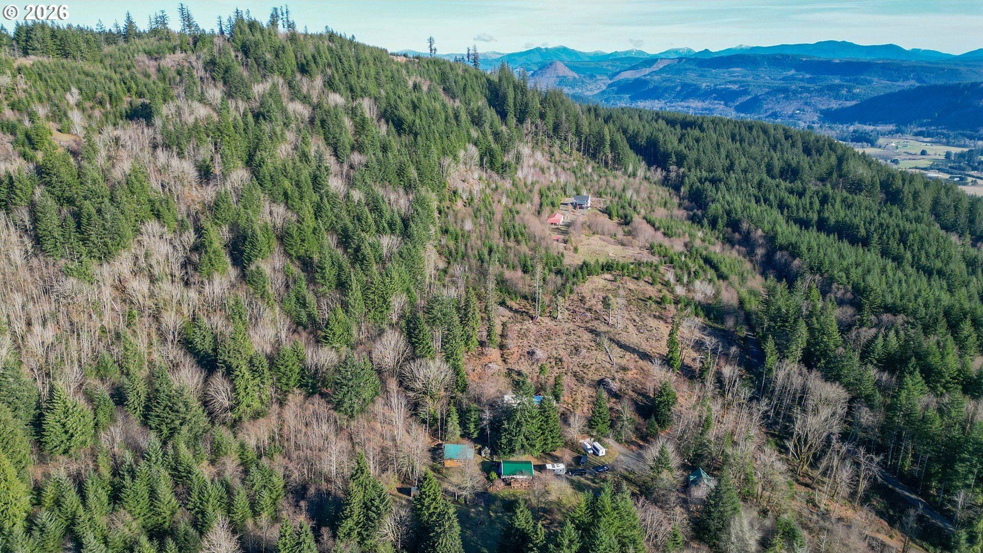 43911 Ne Columbia Tie Rd. Amboy, WA 98601