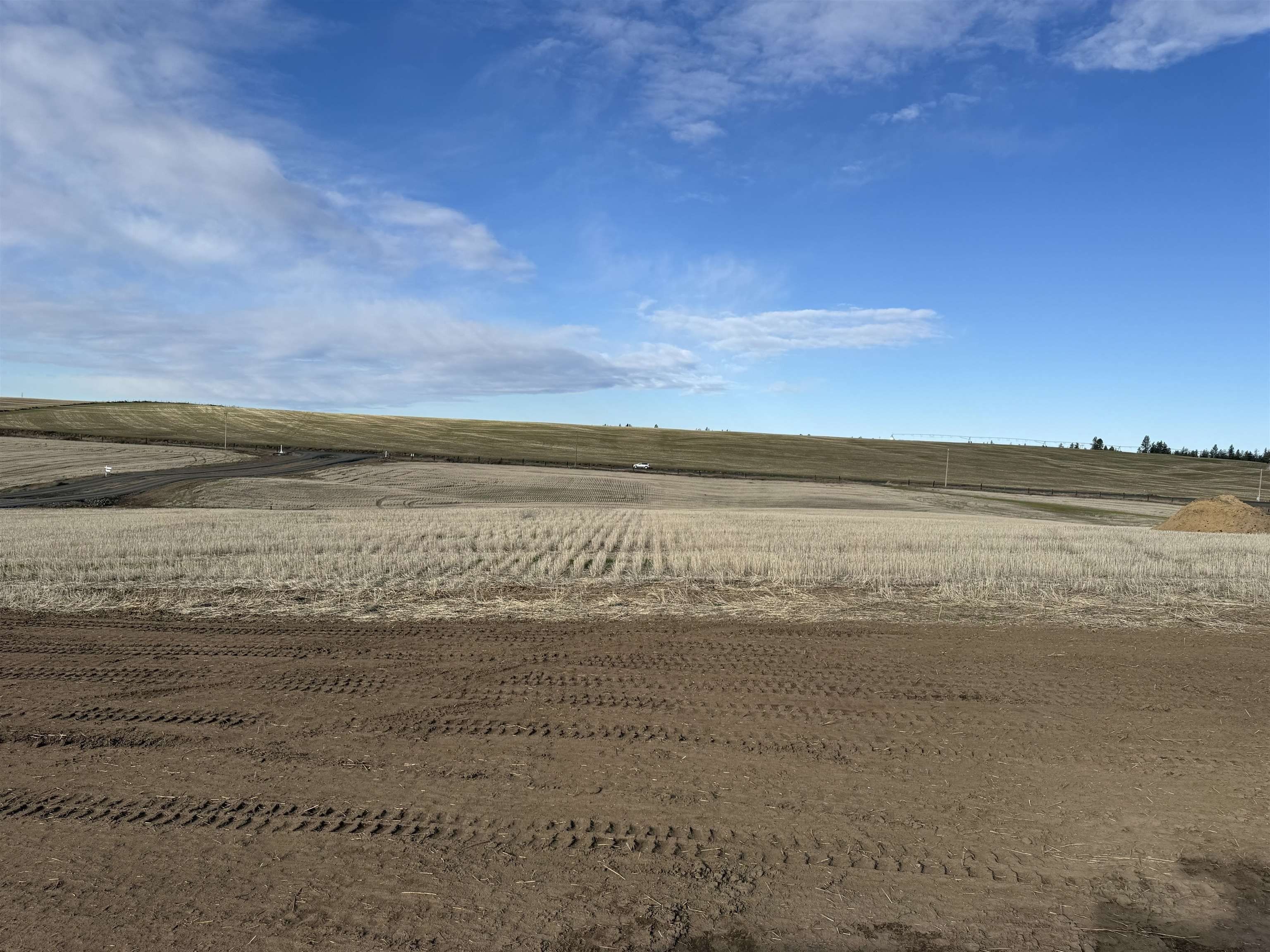 15141 S Andrus Rd. Cheney, WA 99004