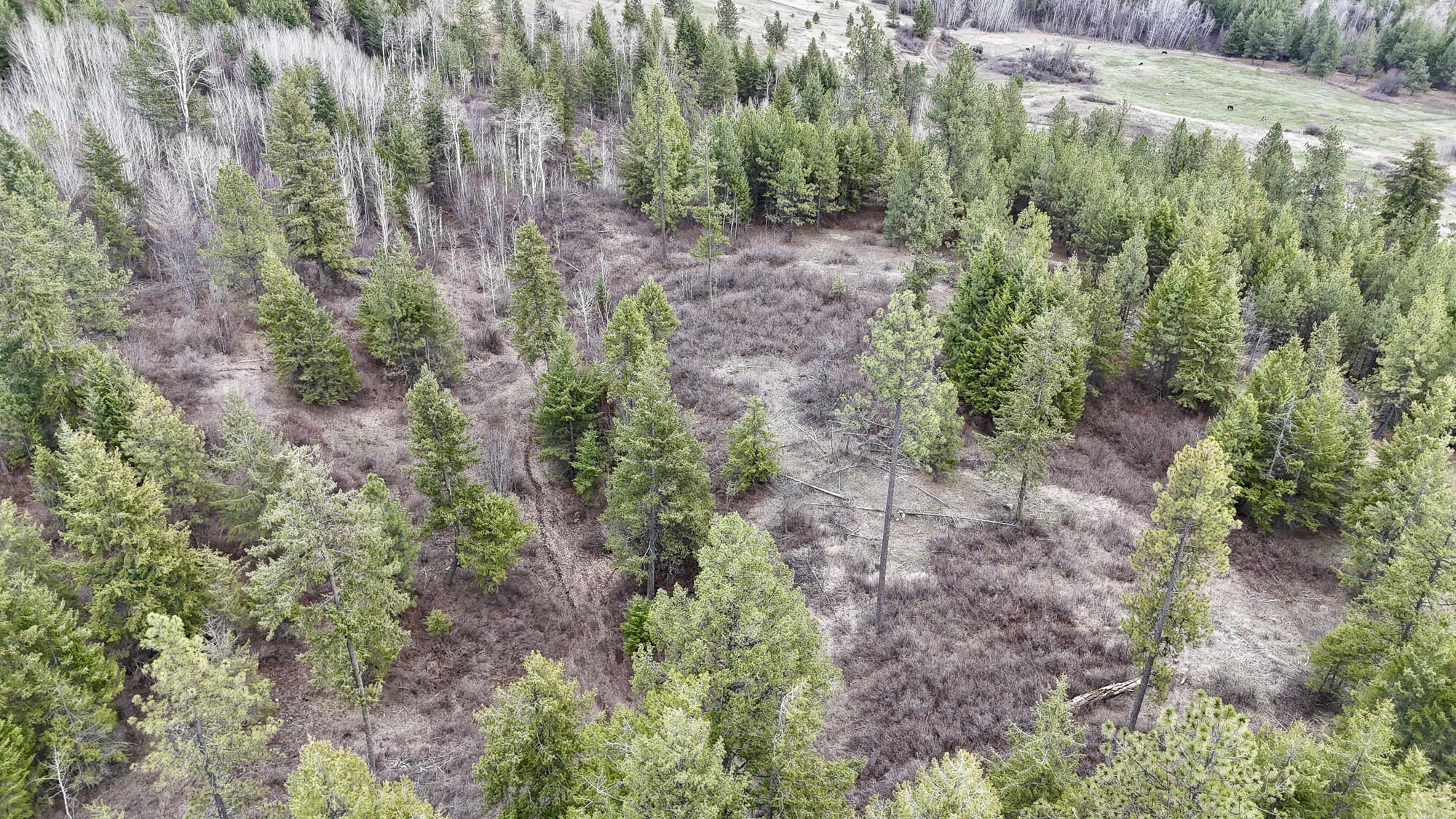 817 Dominion Springs Way. Colville, WA 99114