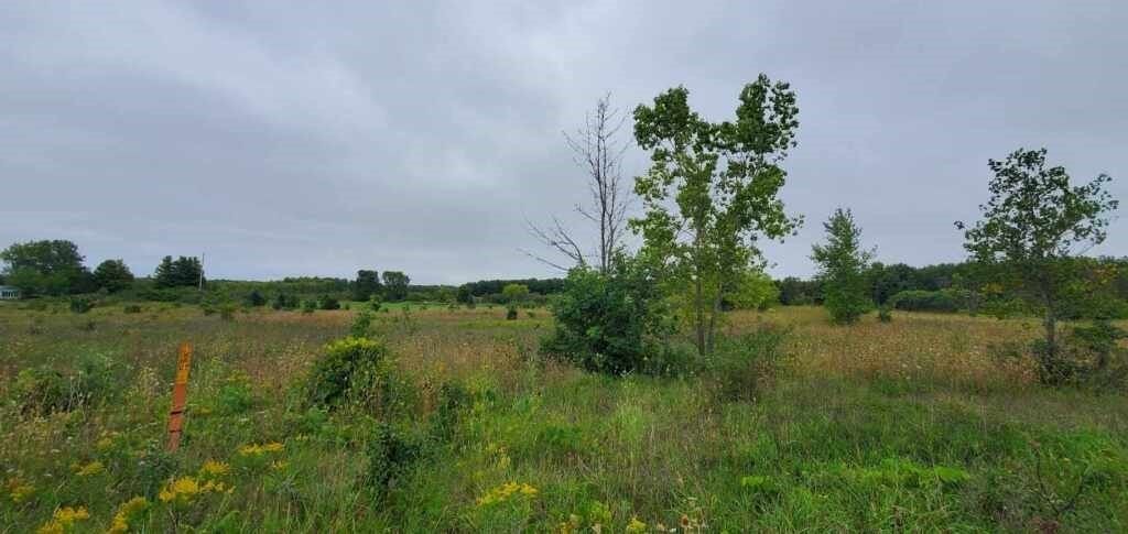 941 S Fulton Ave. Sturgeon Bay, WI 54235