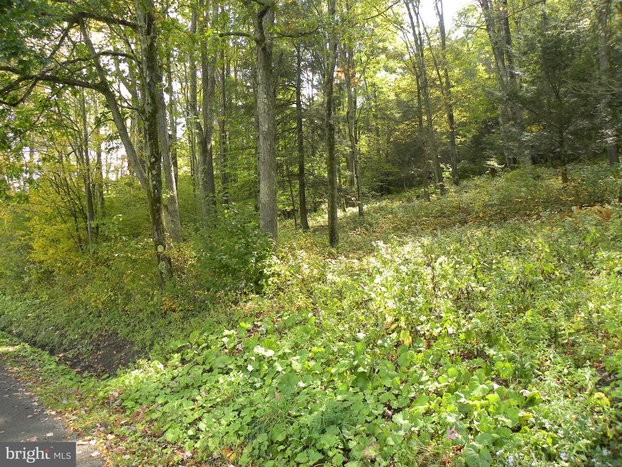 1011 Accident Road. Eglon, WV 26716