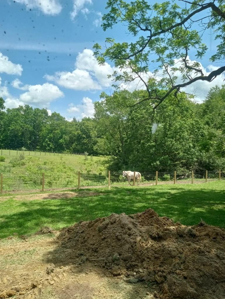 18406 Stanaford Road. Danese, WV 25831