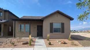 Zinfandel - Mesa del Sol - Vintner's Series: Albuquerque, New Mexico - Abrazo Homes