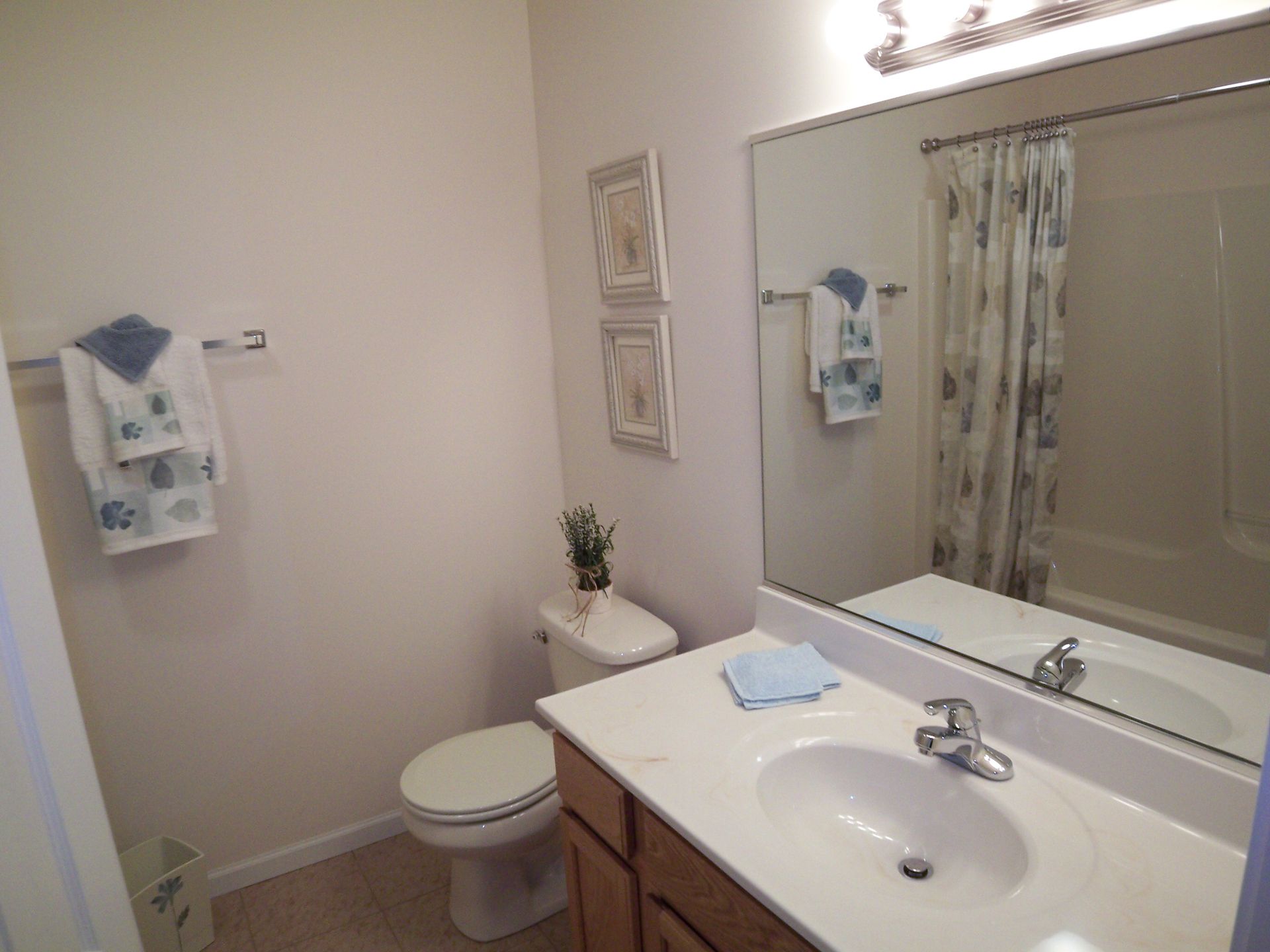 Family Bath Vanity