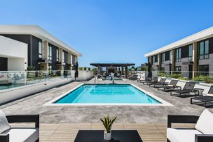 Residence #416 - The Collection At 380 Cordova: Pasadena, California - Adept Urban