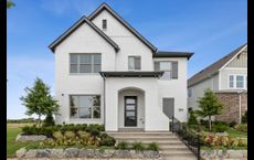 Painted Tree : McKinney, Texas - Oxland Group