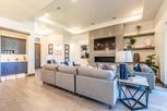 Alegria Homes - Grand Junction, CO