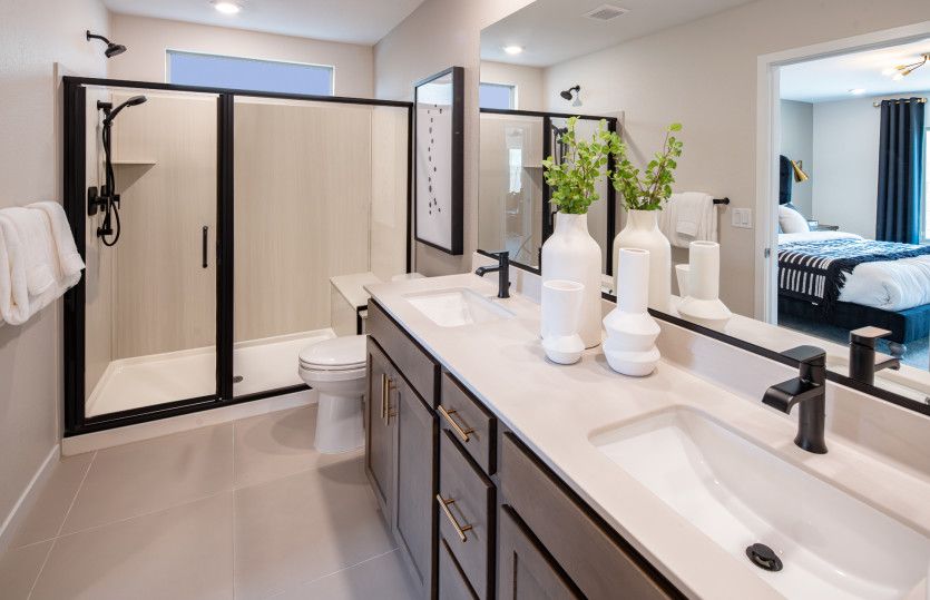 Owner's Bath