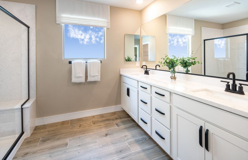Owner's Bath