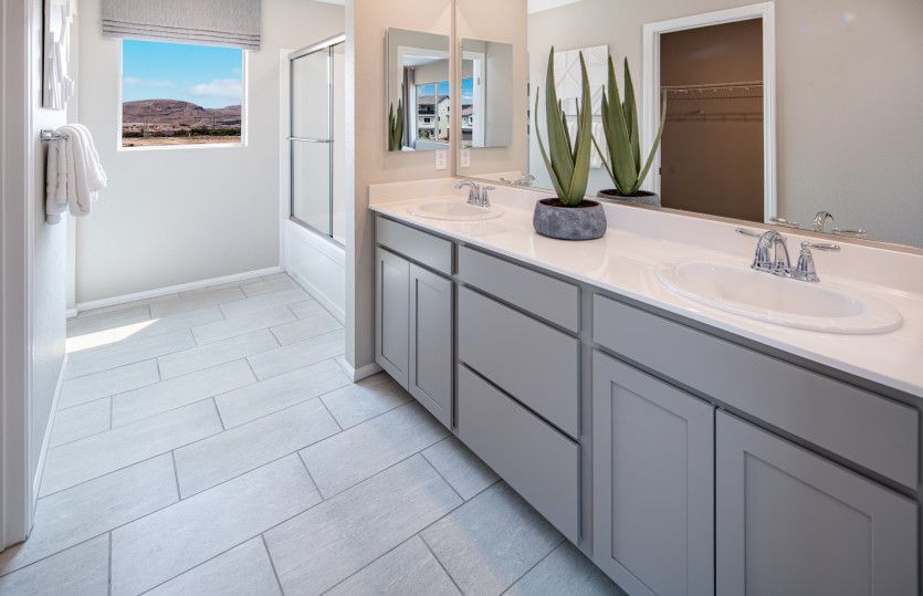 Owner's Bath