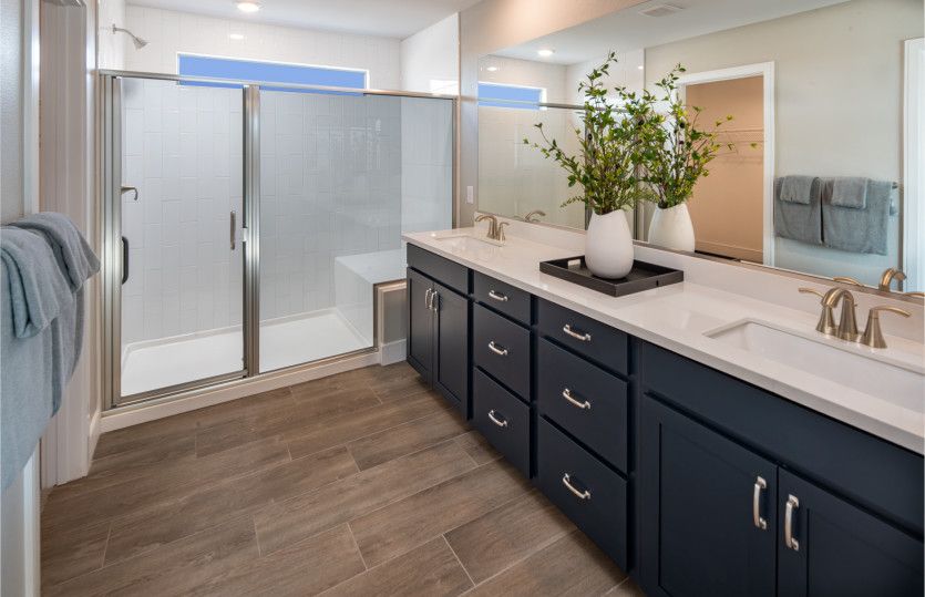 Owner's Bath