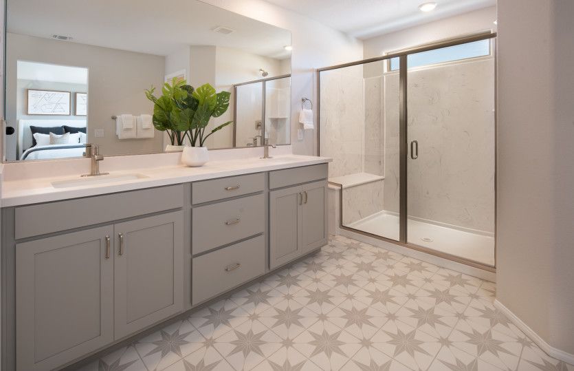 Owner's Bath
