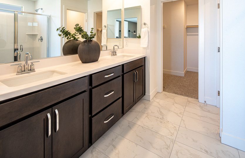 Owner's Bath