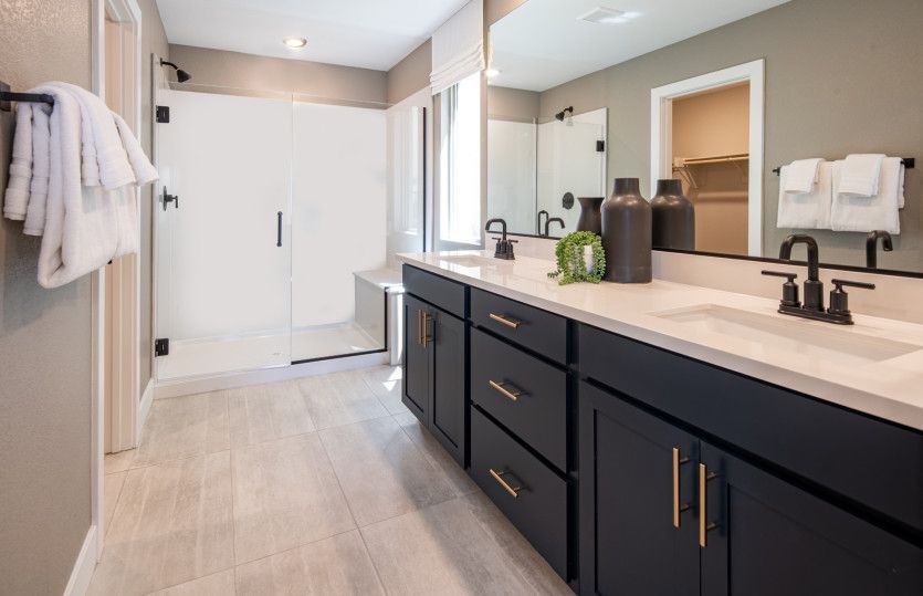 Owner's Bath