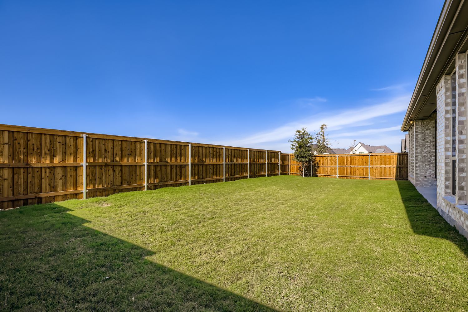 4813 Strada - Backyard