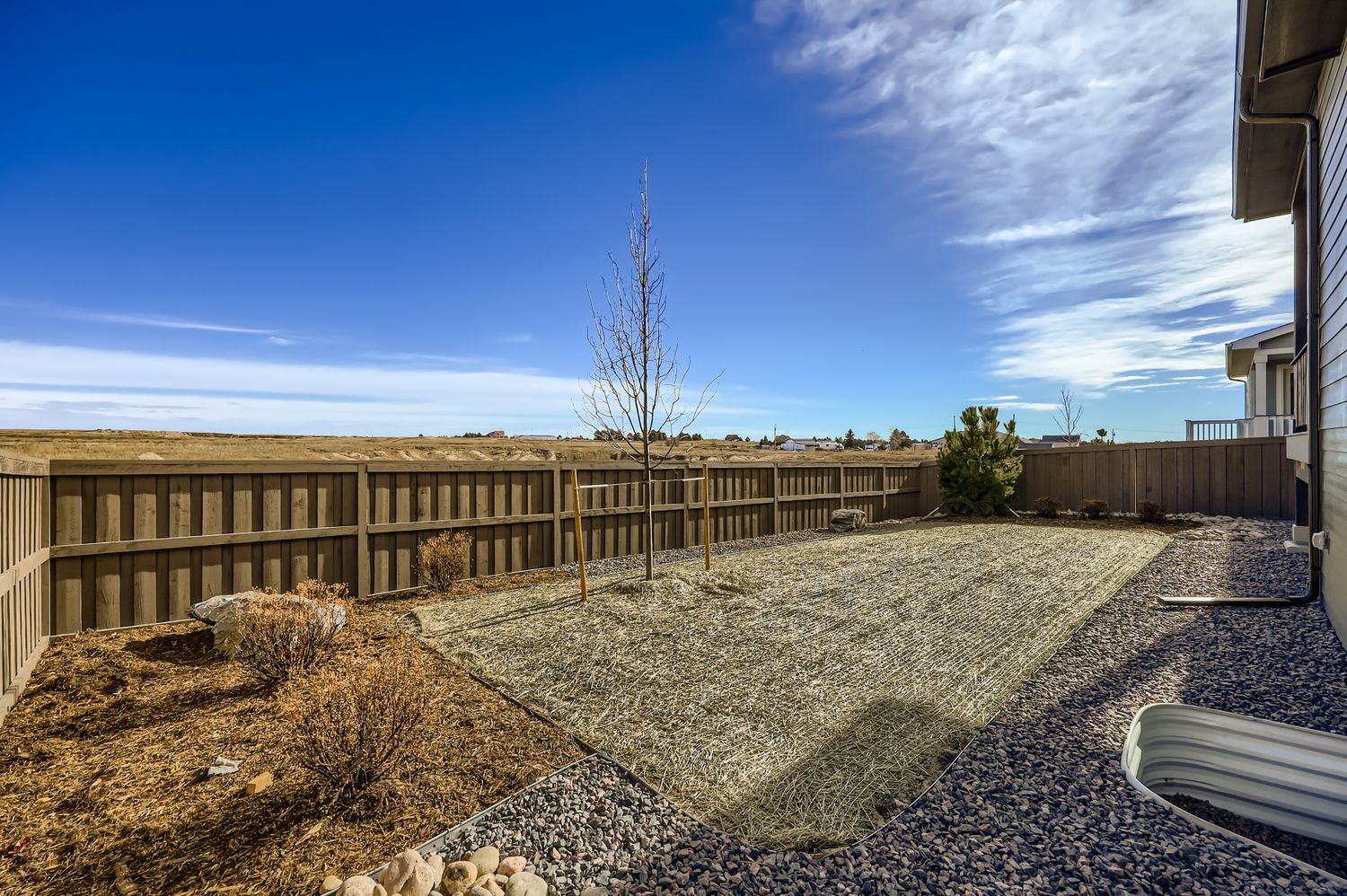 8451 Dines - Backyard
