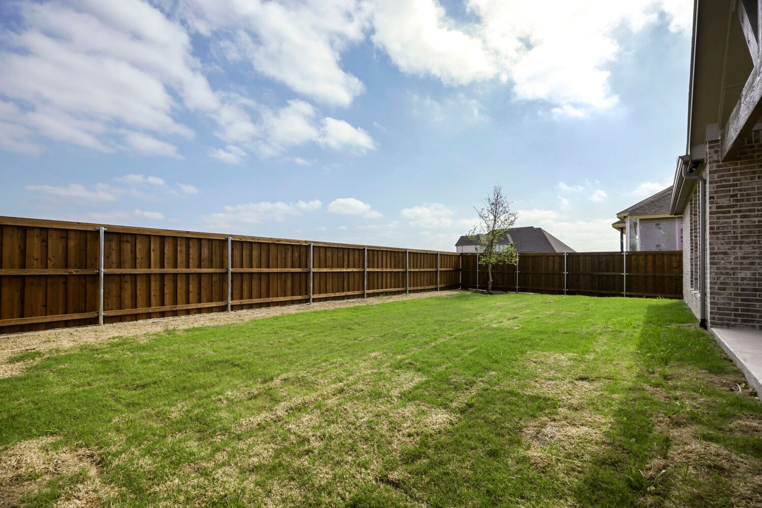 4312 Double Diamond - Backyard