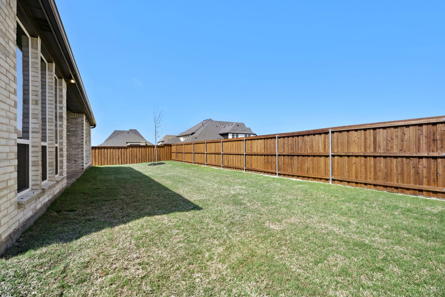 4121 Trellis - Backyard